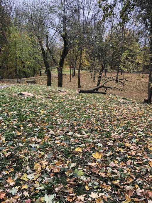 Прибирання